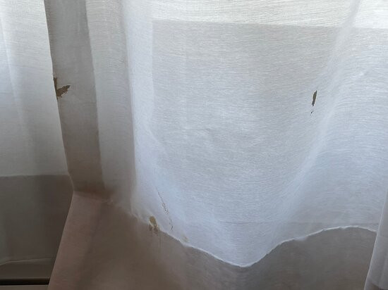 费尔布瑞芝套房汽车旅馆-爱达荷福尔斯主图