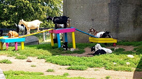 Haute Goat-Port Hope必去景点