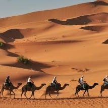 Travel To Desert-马拉喀什必去景点