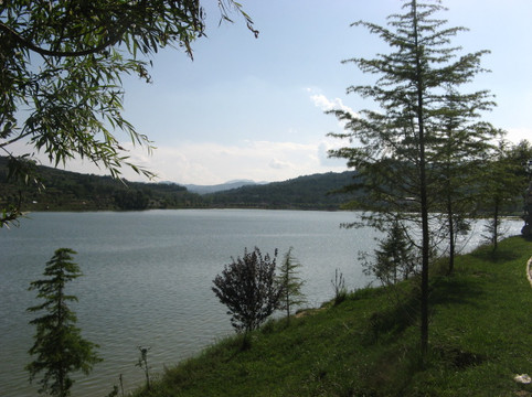 西和县旅游攻略图片