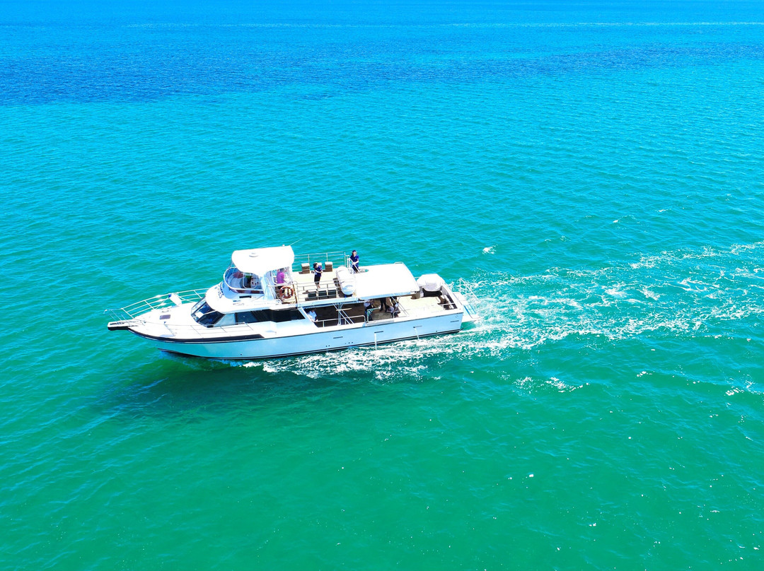 South West Cruises-戴士柏必去景点