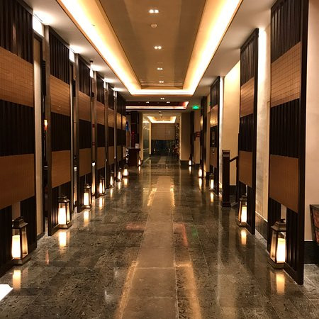香格里拉實力希爾頓花園酒店主图