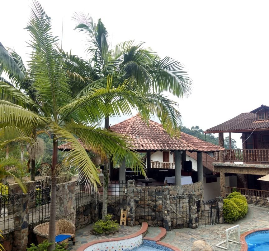 La Casa del Arbol主图