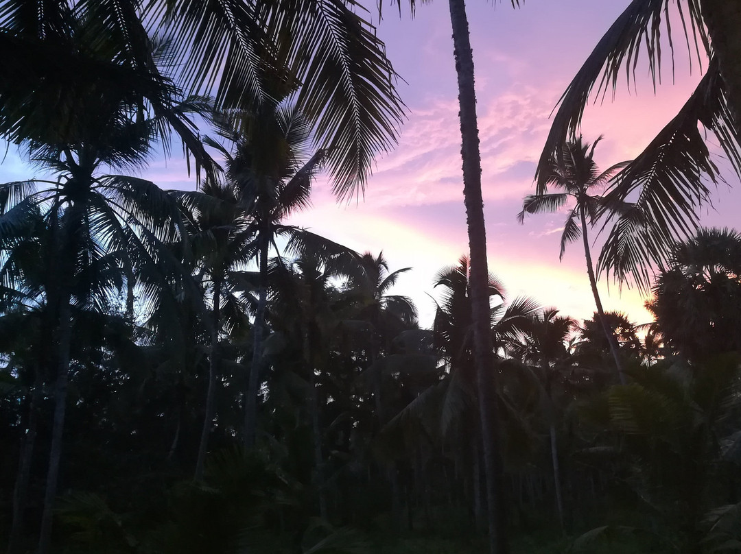 Thengapattanam beach-肯亚库玛利必去景点