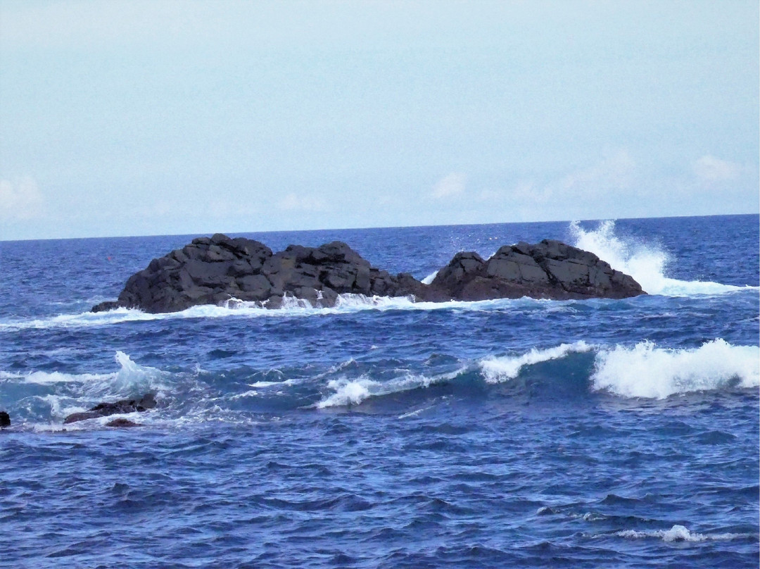 南三陆町旅游景点-Cape Kamiwarizaki