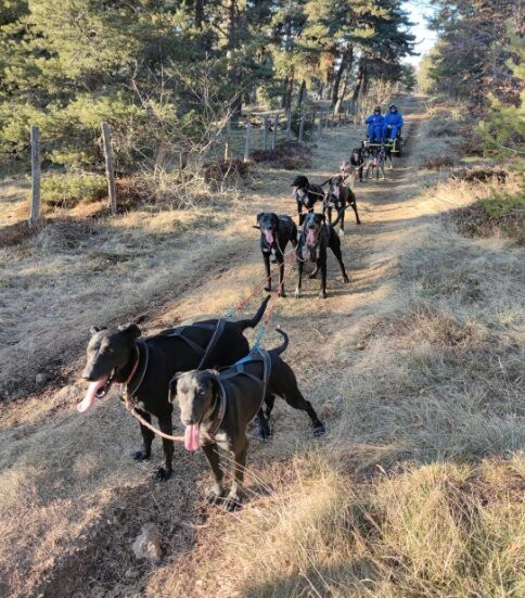 Les Traîneaux de la Roche du Pic景点图片