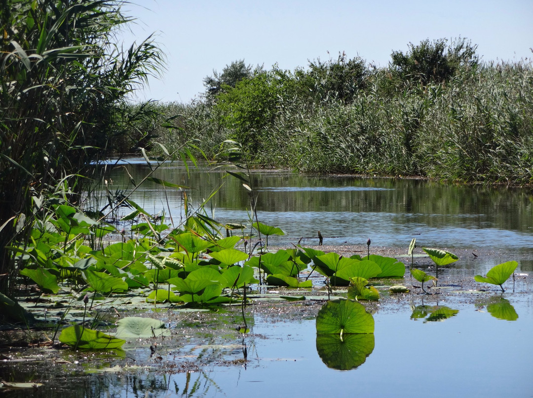 Primorsko-Akhtarsk旅游攻略图片