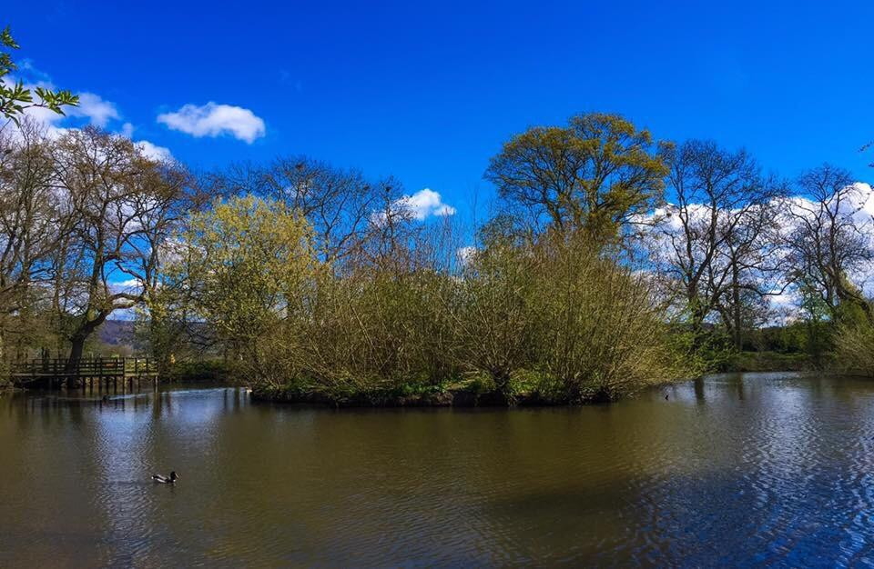 Bagby旅游攻略图片