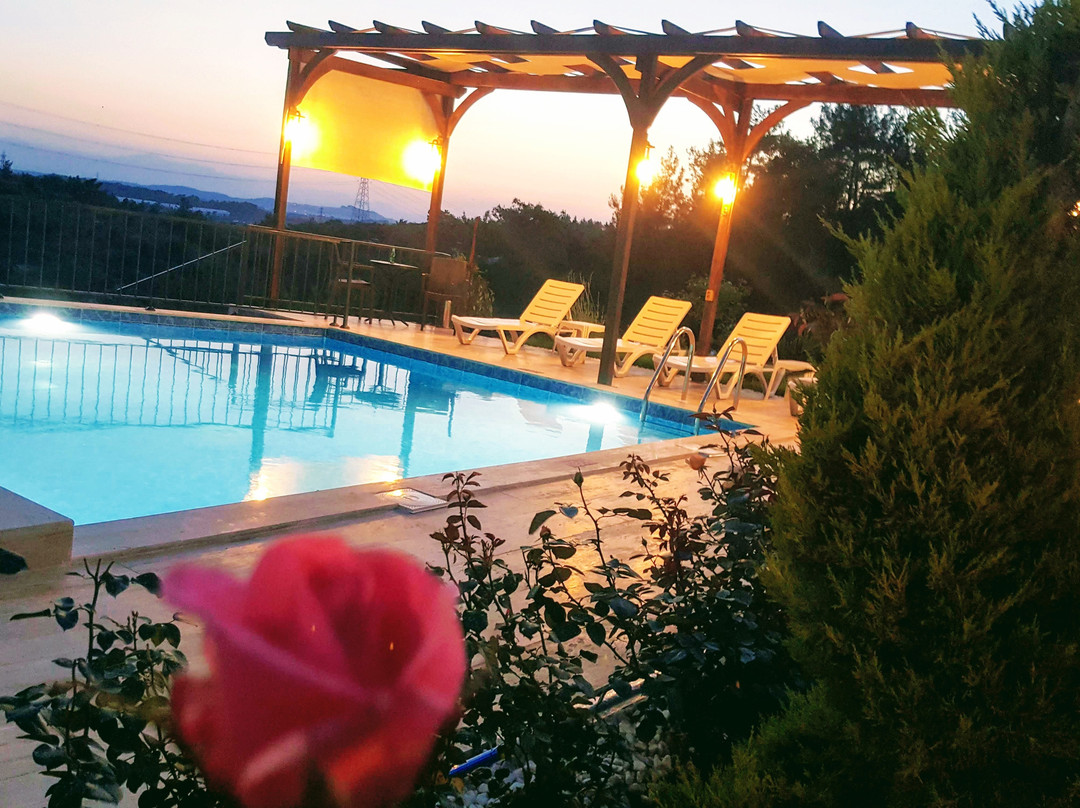 Seki旅游攻略图片