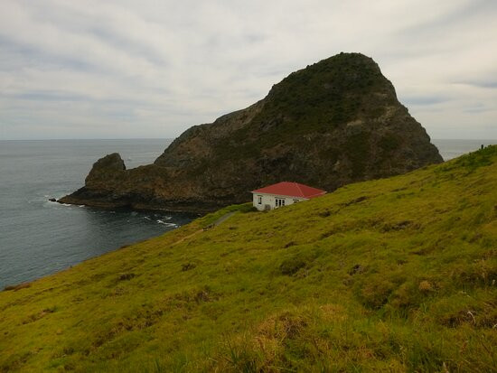 Bay of Islands Water Taxi景点图片