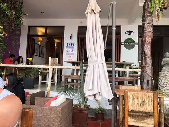 Bamboo Lodge主图