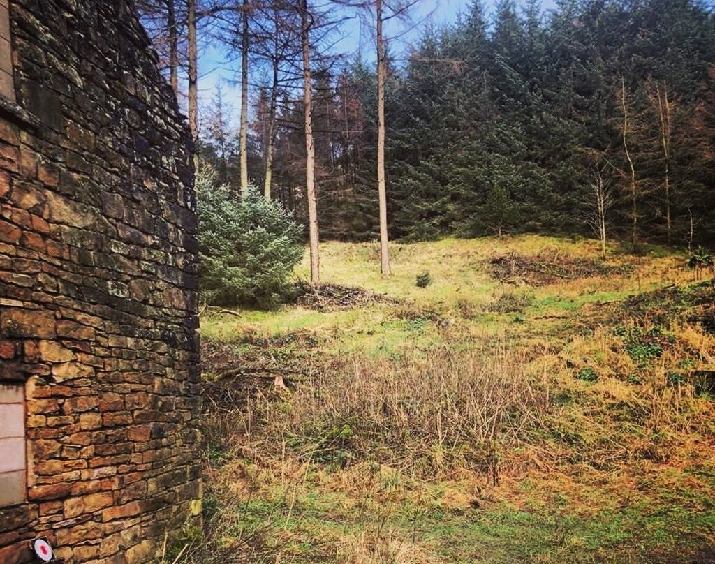 Macclesfield Forest-麦克尔斯菲尔德必去景点