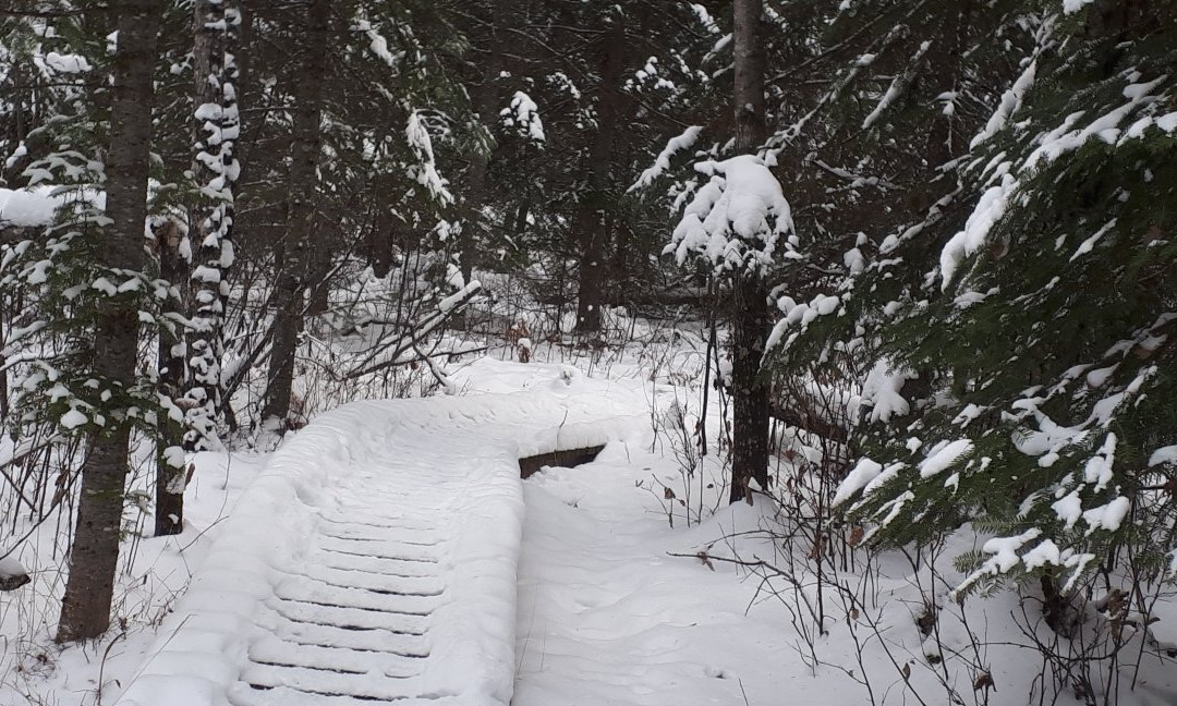 Falcon Trails Resort主图