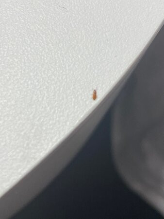 Hampton Inn Columbus NE主图