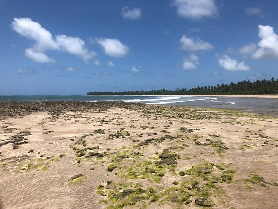 Bainema-Ilha de Boipeba必去景点