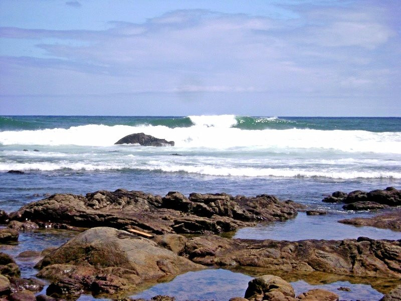 Jardim de Ala Beach-萨尔瓦多必去景点