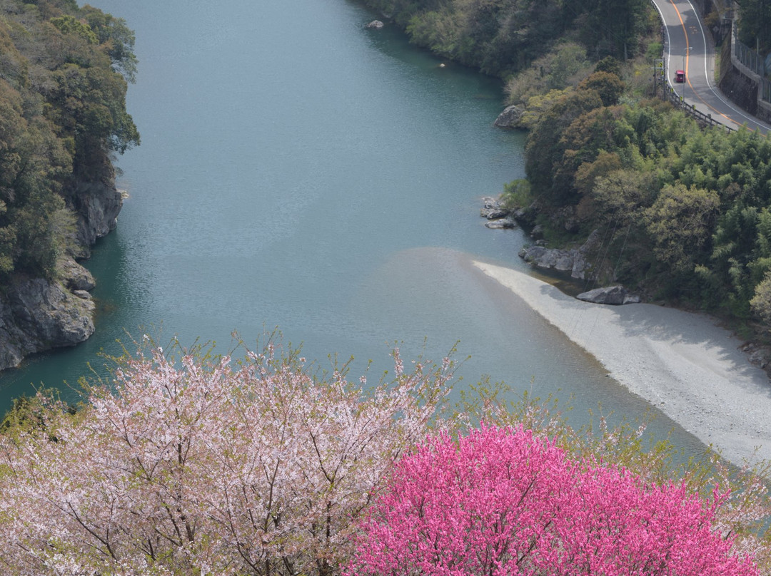 Hananosato Park景点图片