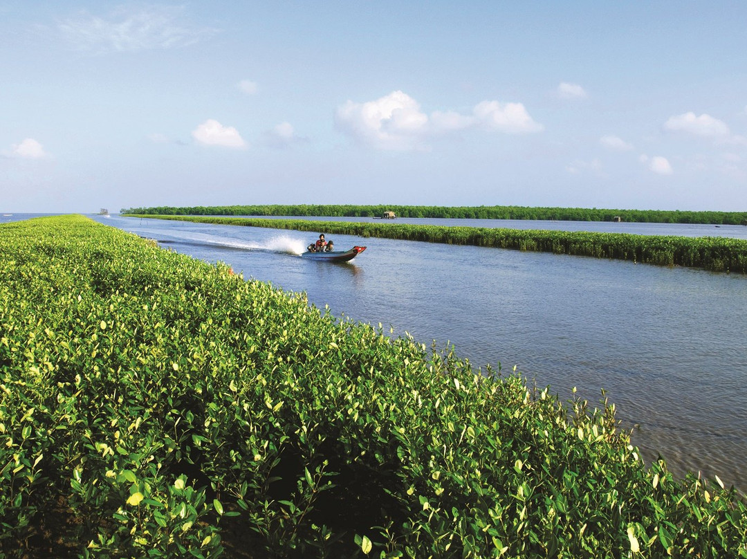Ca Mau旅游攻略图片