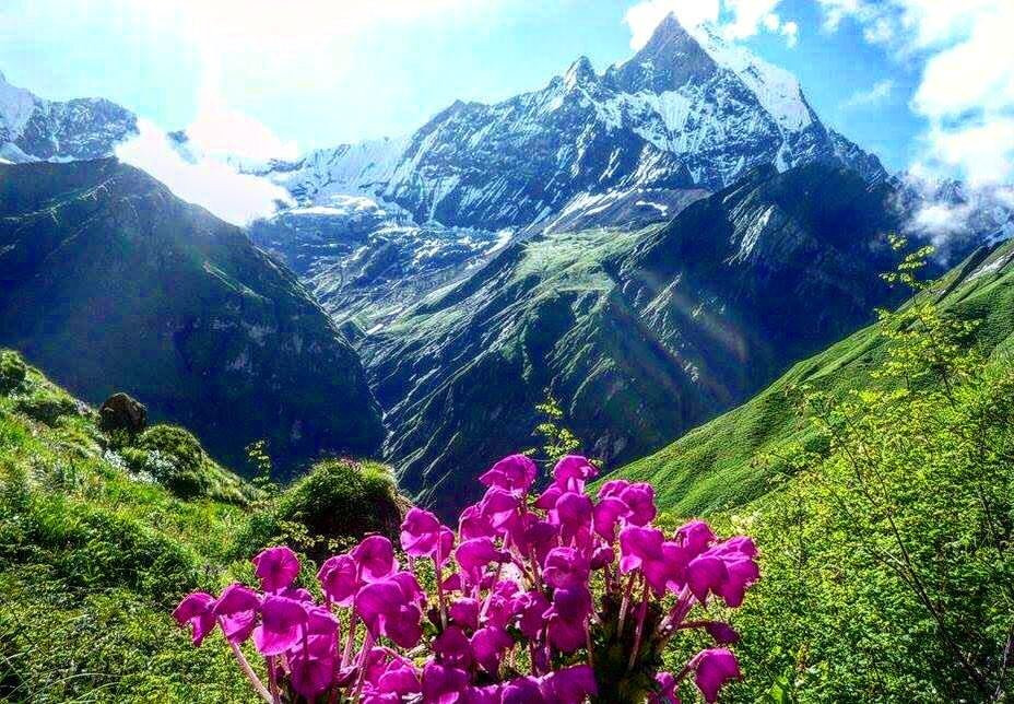 安娜普纳区旅游攻略图片