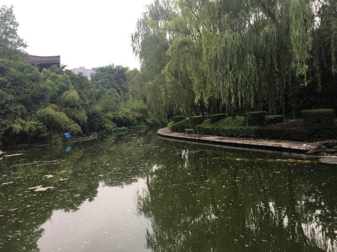 丰庆公园-西安市必去景点