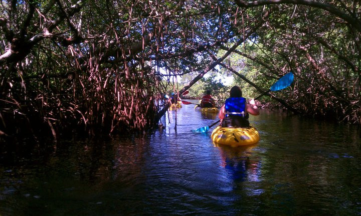 Shan-T Native Kayak Tours, Inc.景点图片