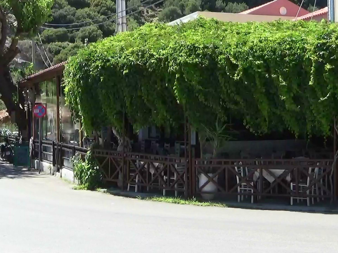 Tarti餐馆和美食-Taverna Mouria