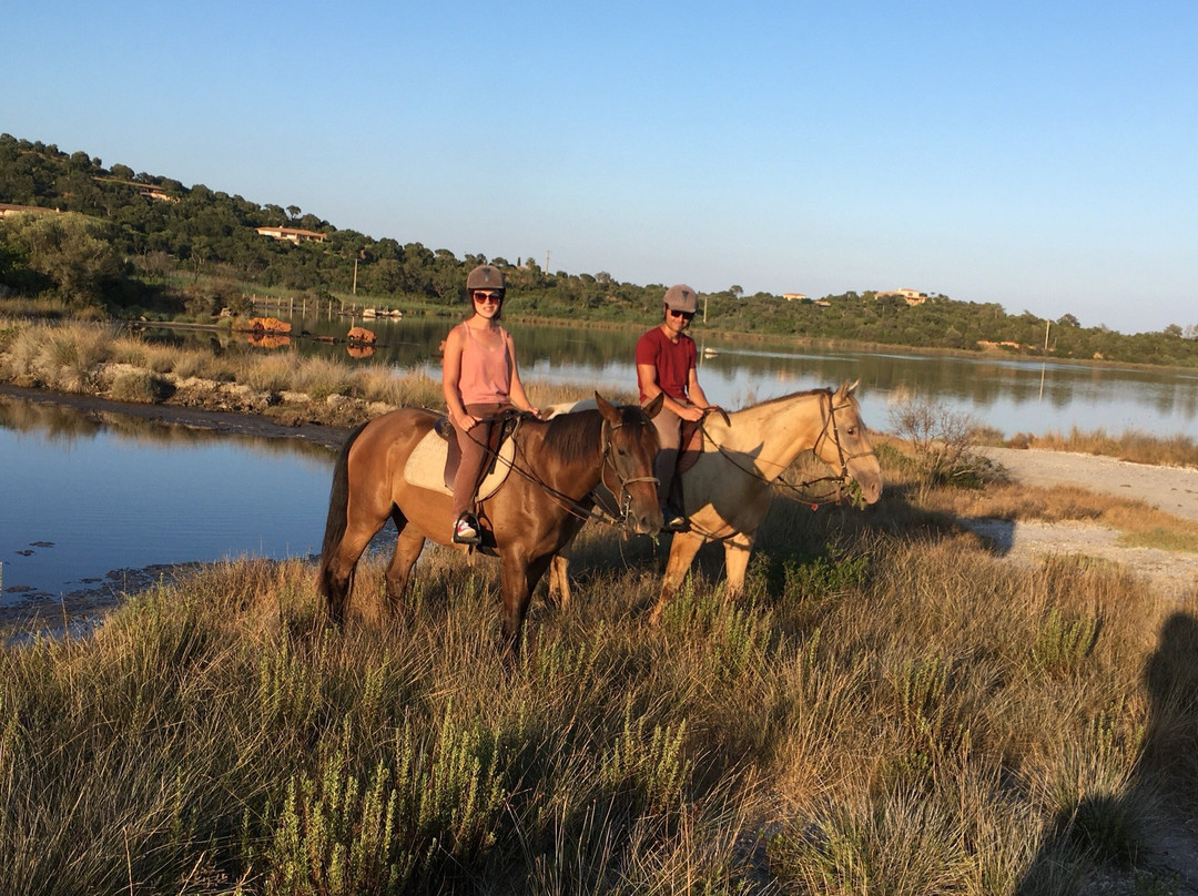 Country Horse景点图片