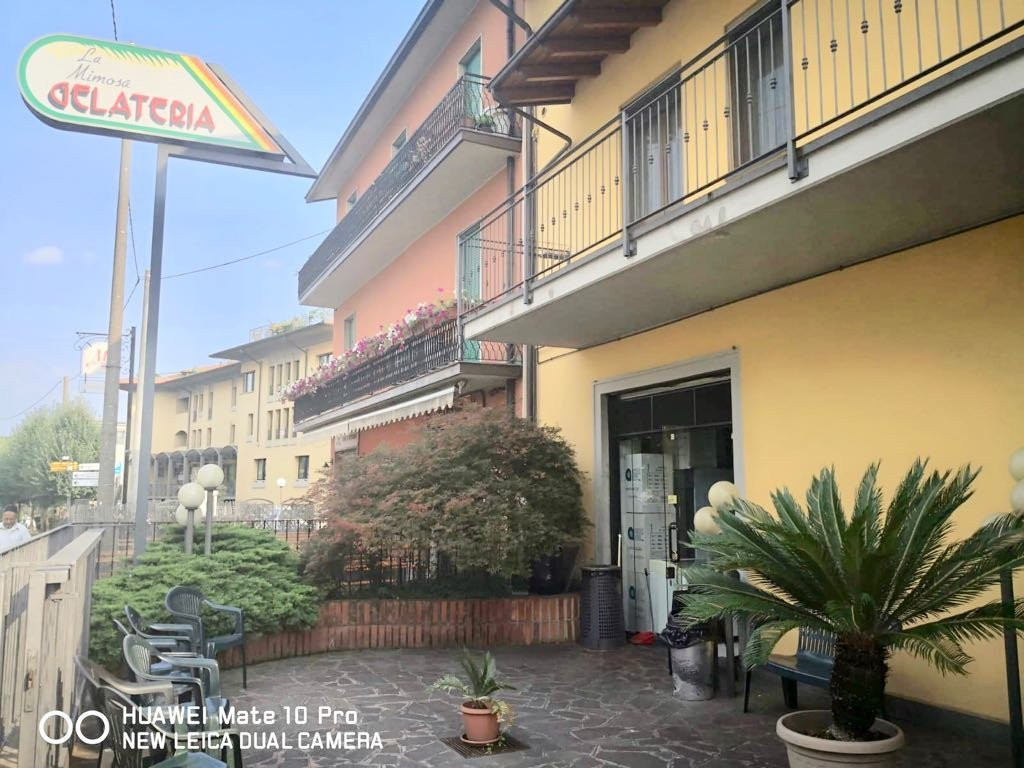Gelateria La Mimosa Di Agazzi Milco