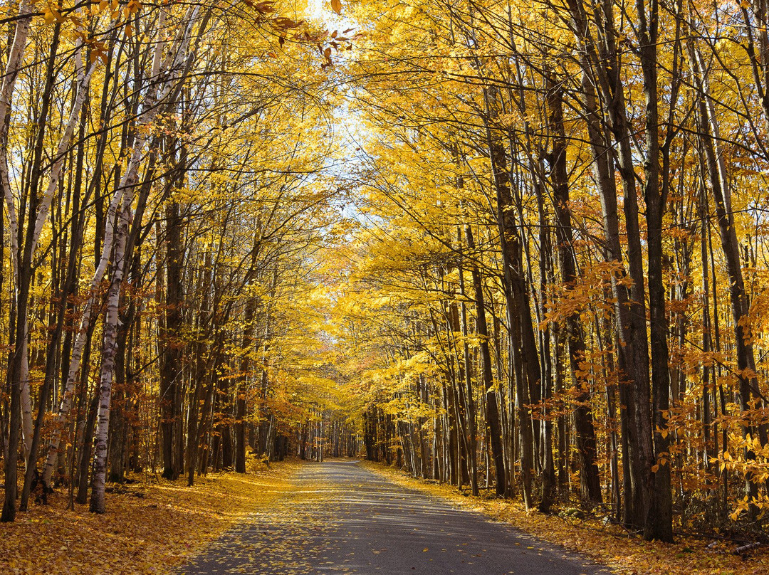 Penetanguishene旅游攻略图片