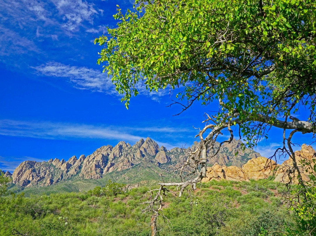 null-拉斯克鲁塞斯