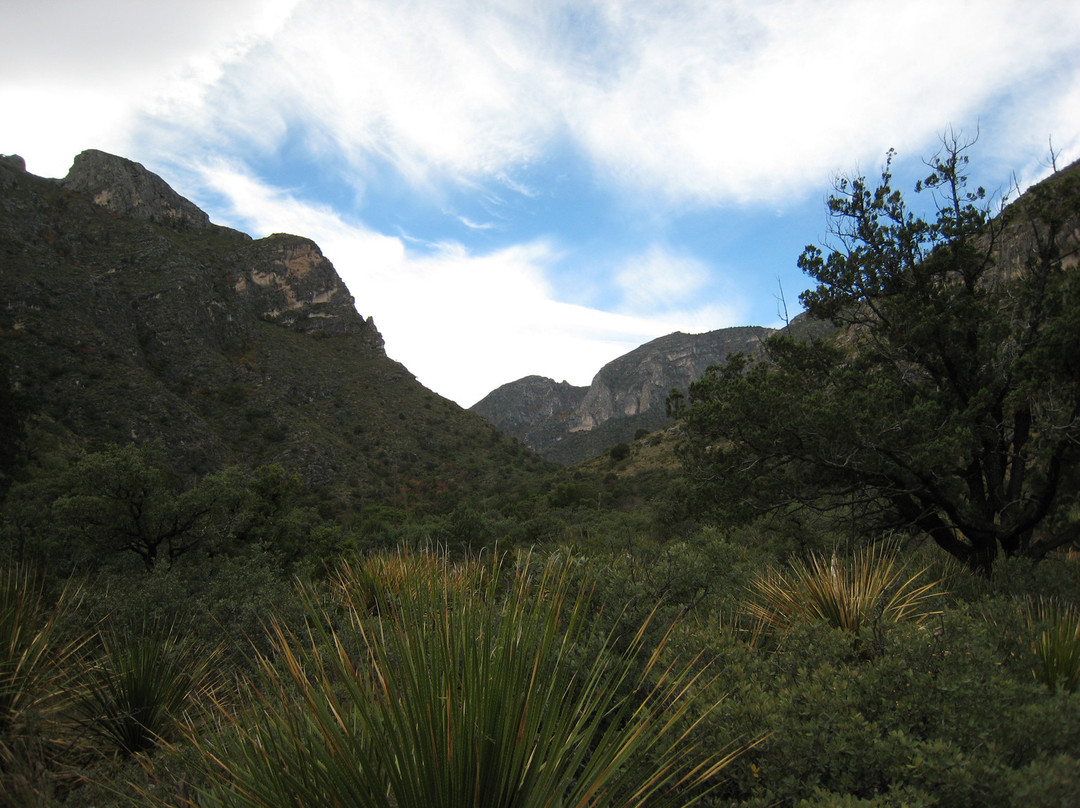McKittrick Canyon景点图片