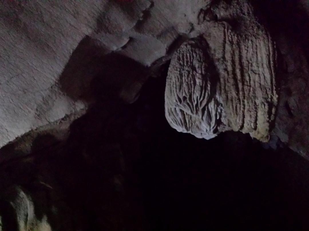 Cueva de la Pileta景点图片
