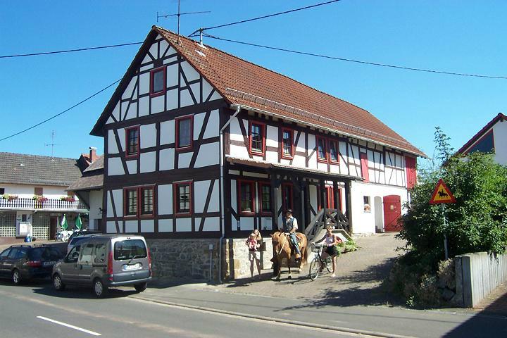 HestaVin-官方