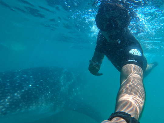 Salty Life in Baja-拉巴斯必去景点