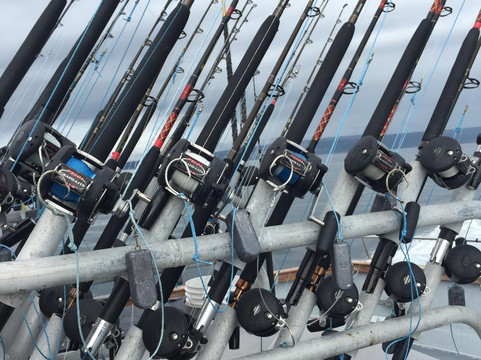 Alaska Coastal Marine Tours-荷马必去景点