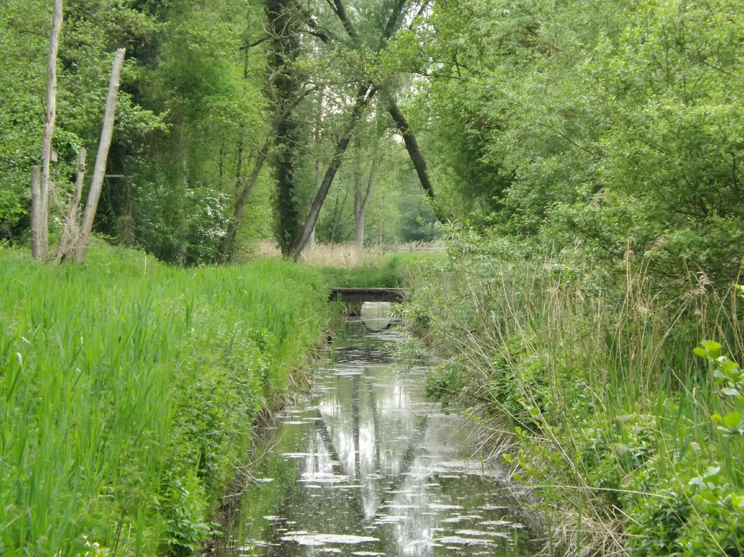 Sculthorpe Moor Nature Reserve景点图片