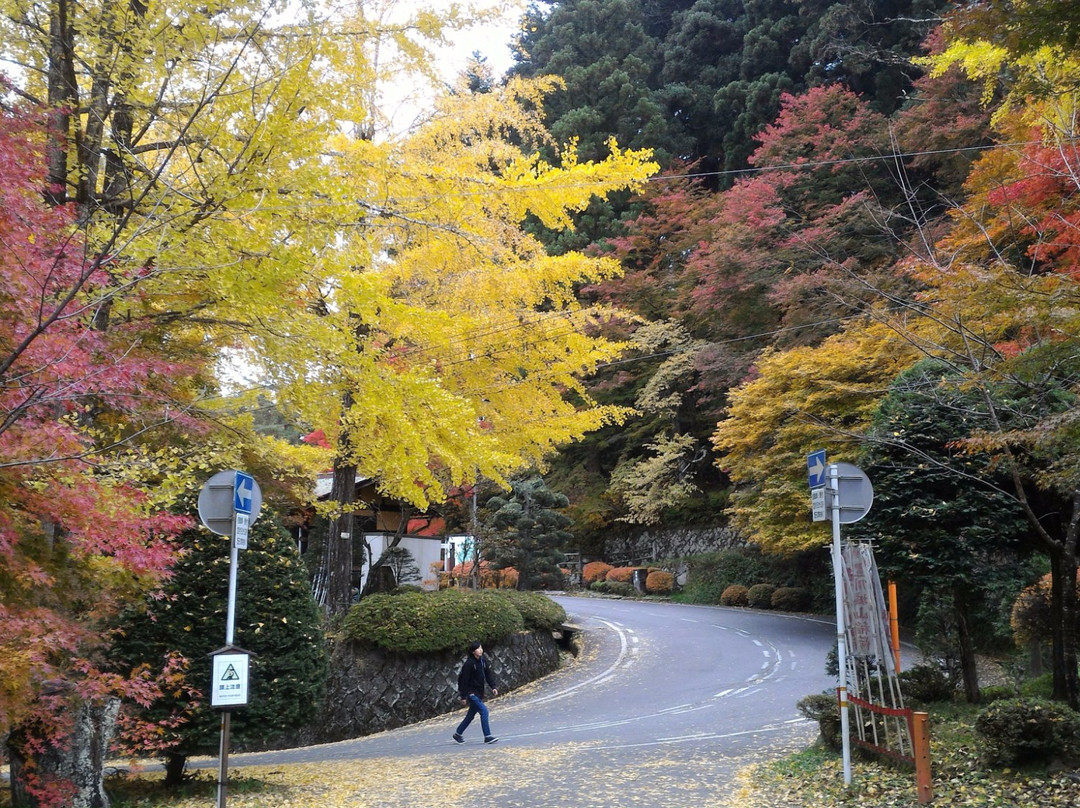 Shiroyama Park-高山市必去景点