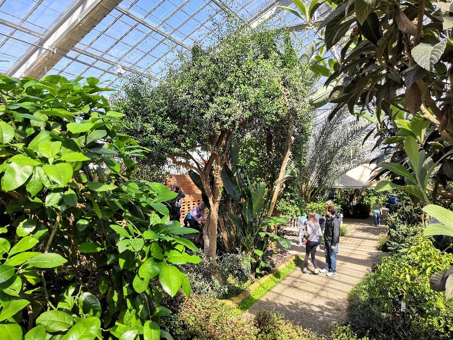 Matthaei Botanical Gardens景点图片