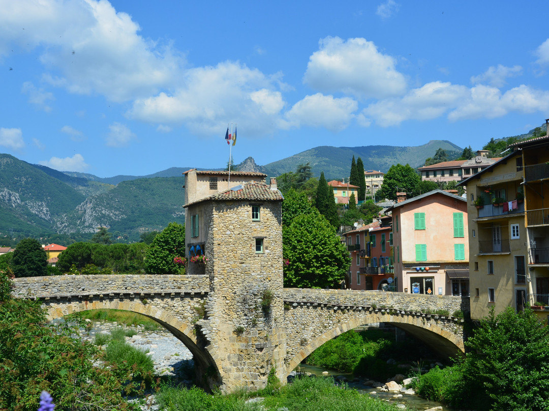 Le Pont Vieux　景点图片