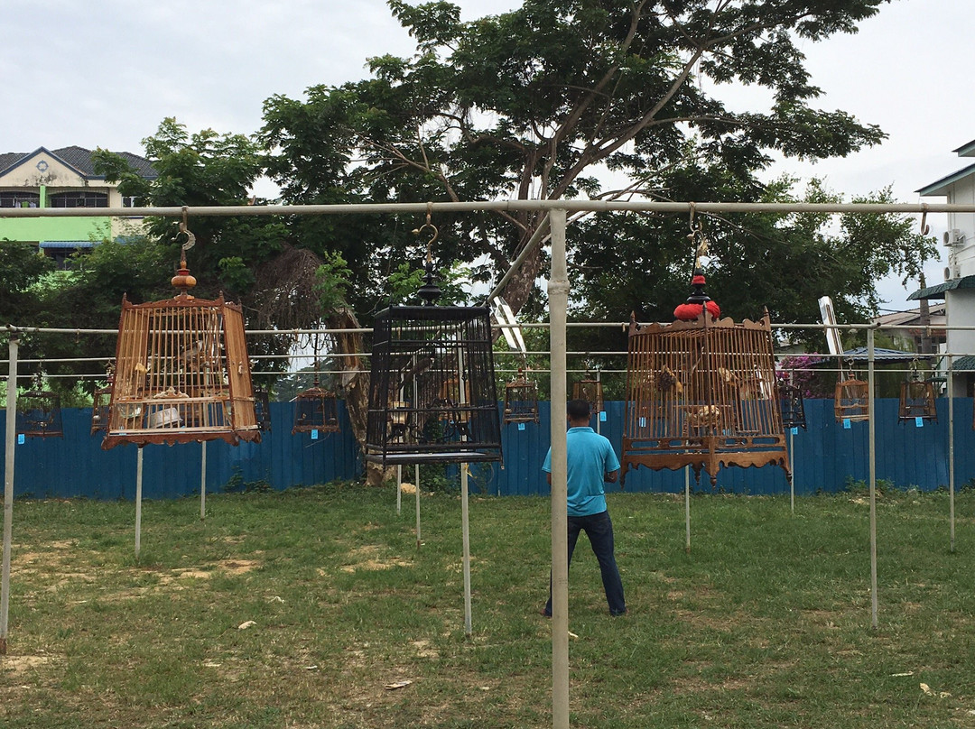 Bird Singing Contest