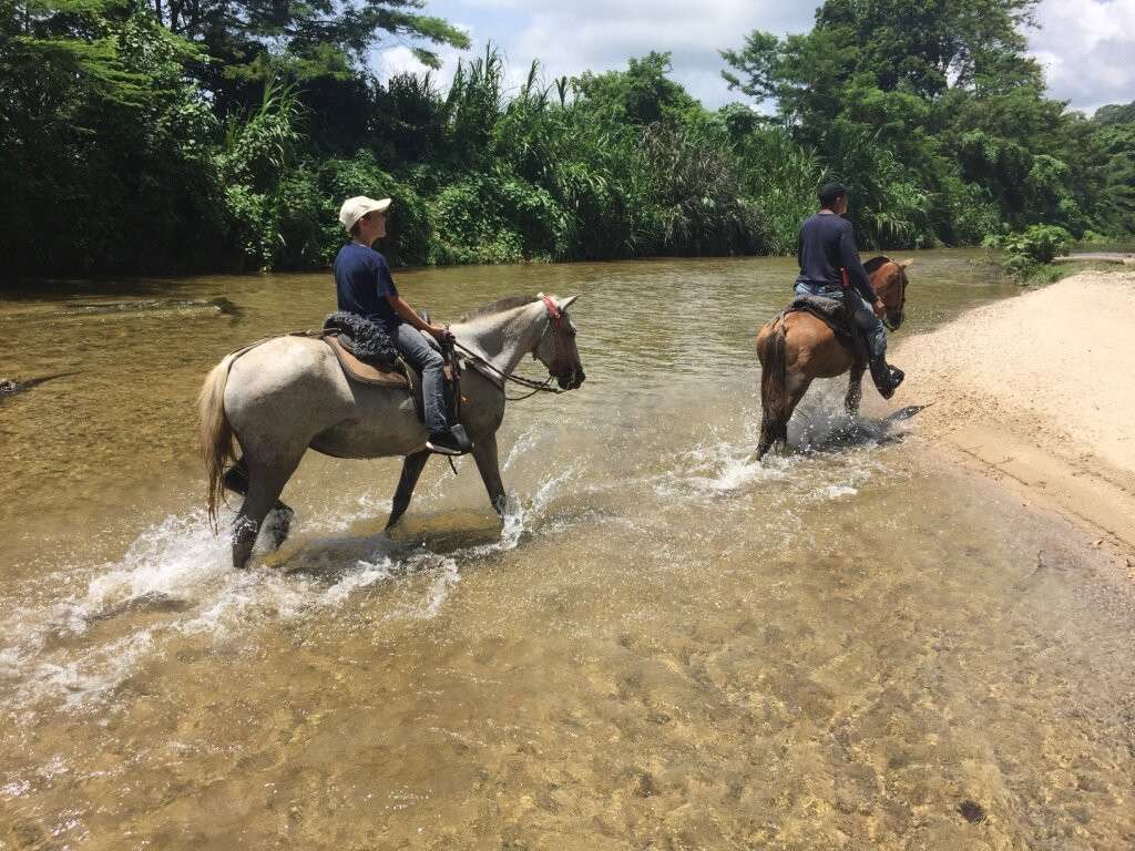 Horse Riding at La Mello Adventure Lodge景点图片