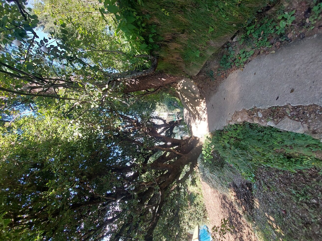 Zostel Manali, Vashisht