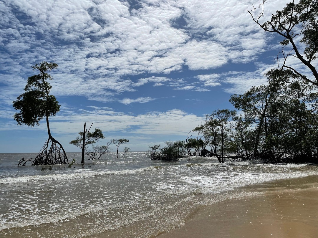 Pousada Ipirãtã - Marajó