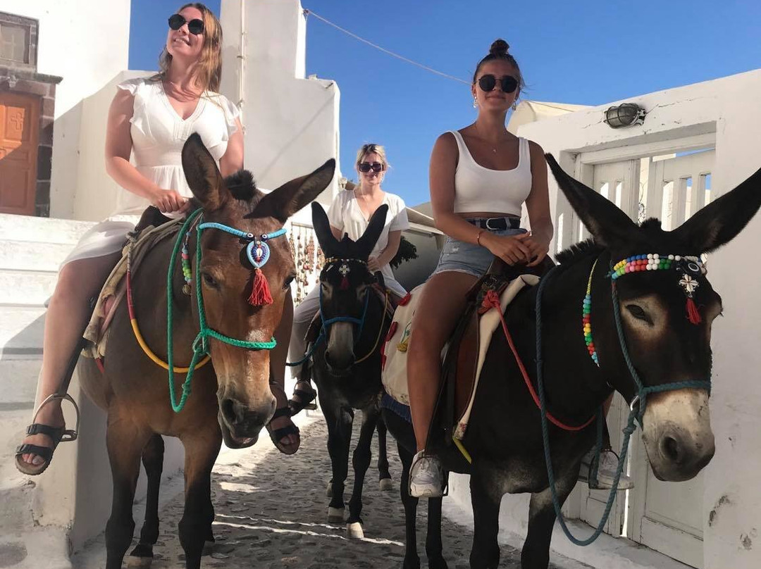 Black Pearl Executive Tours-梅加洛克豪略翁必去景点