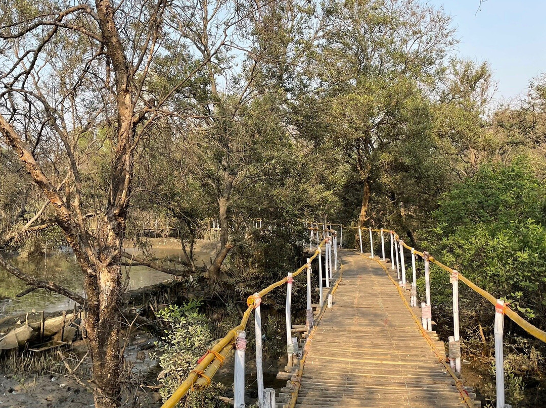 Thane Creek Flamingo Sanctuary景点图片