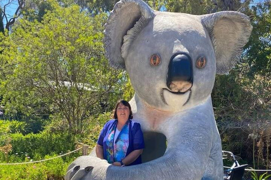 Koala Adventure Tours-袋鼠岛必去景点