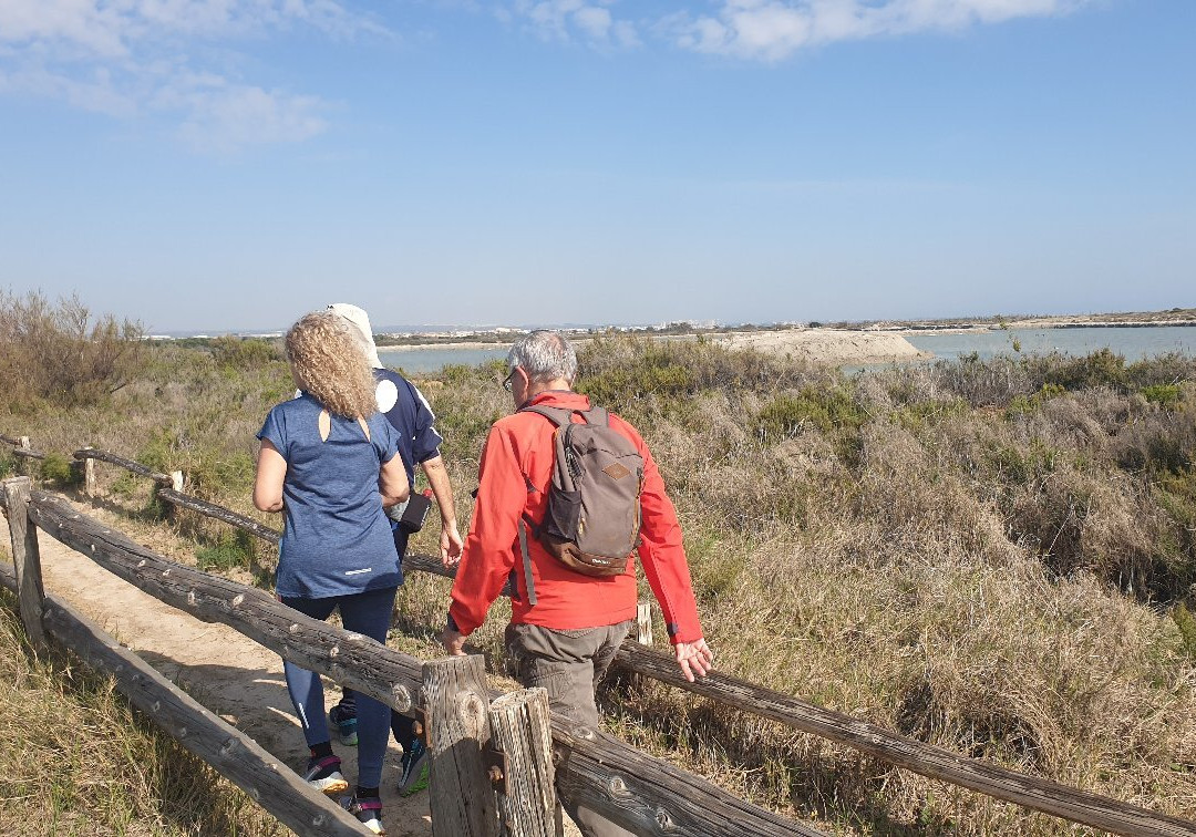 Mirador De Aves-San Pedro del Pinatar必去景点