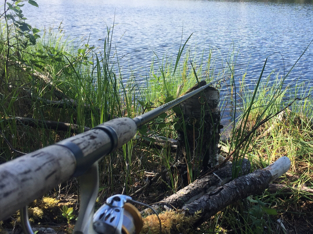 Jämtland Fishing Adventure景点图片
