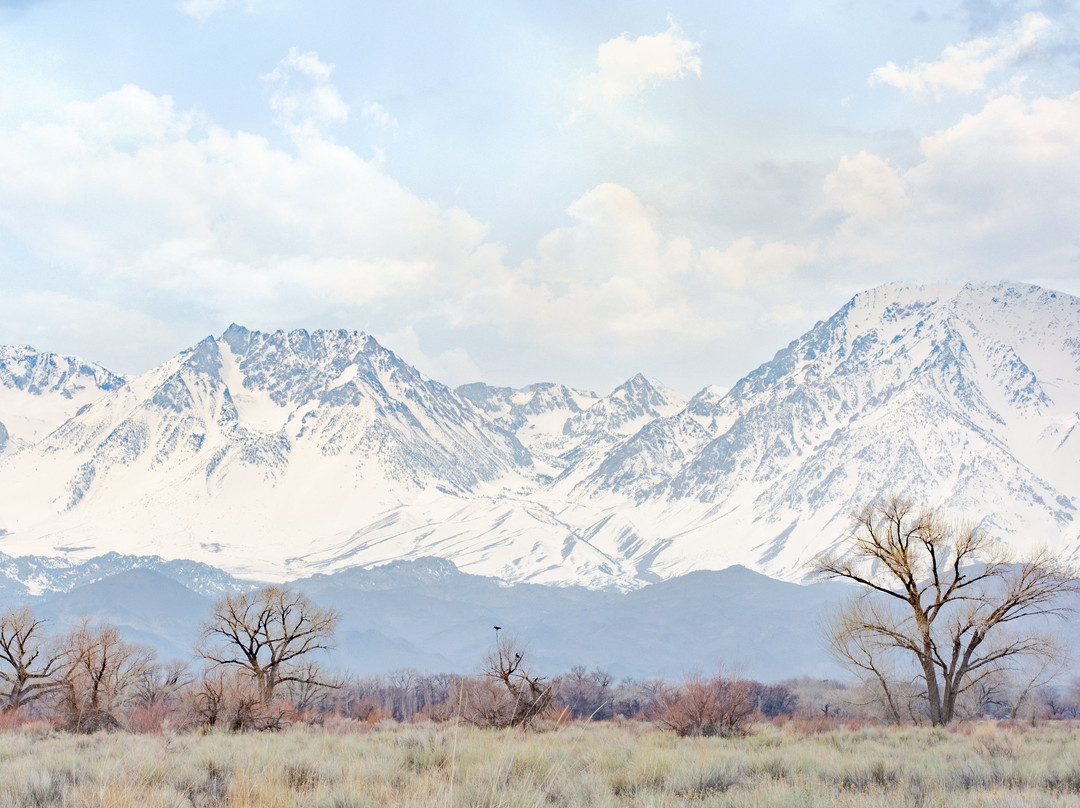 Holiday Inn Express & Suites Bishop By IHG主图