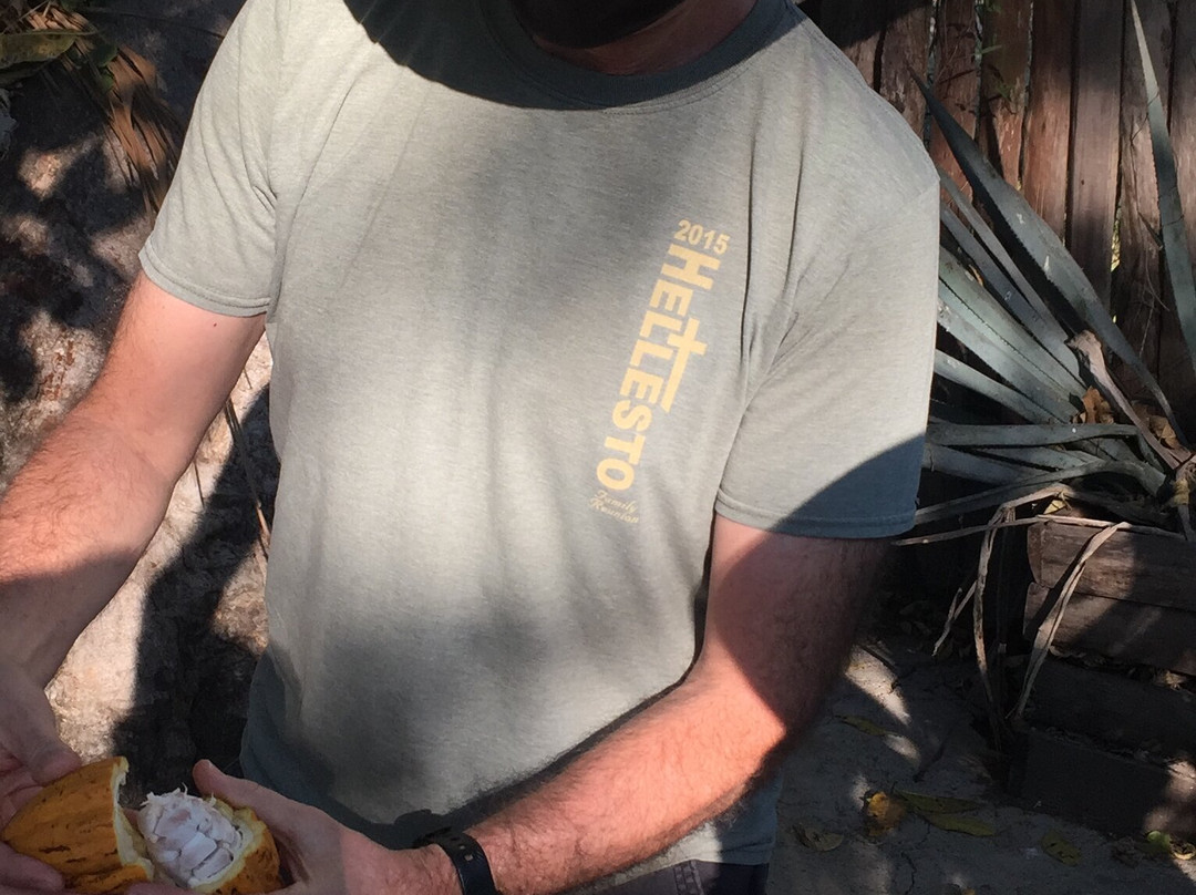 Akali Experiences-La Cruz de Huanacaxtle必去景点